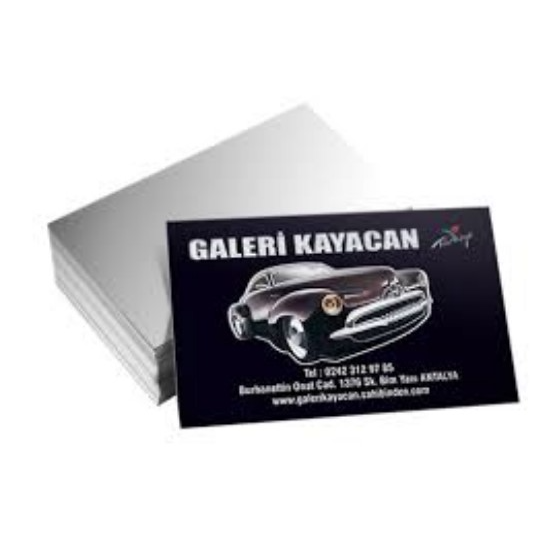 Gümüş Yaldız Baskı